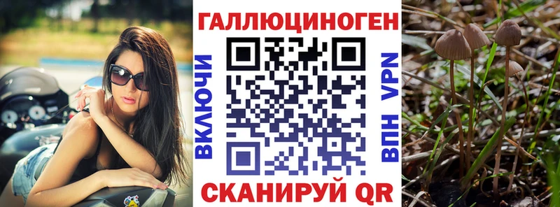 Купить где Облучье Галлюциногенные грибы мухоморы